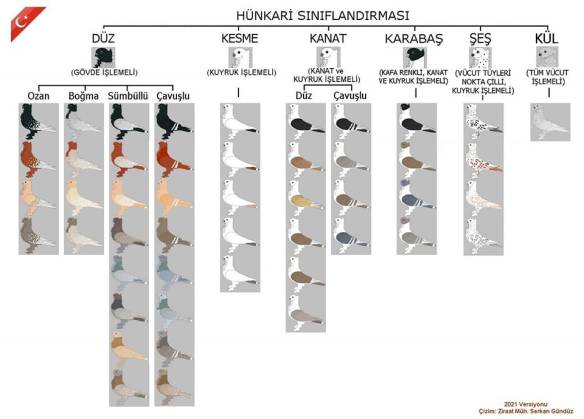 336922426_6355627627823315_2870138338375596703_n