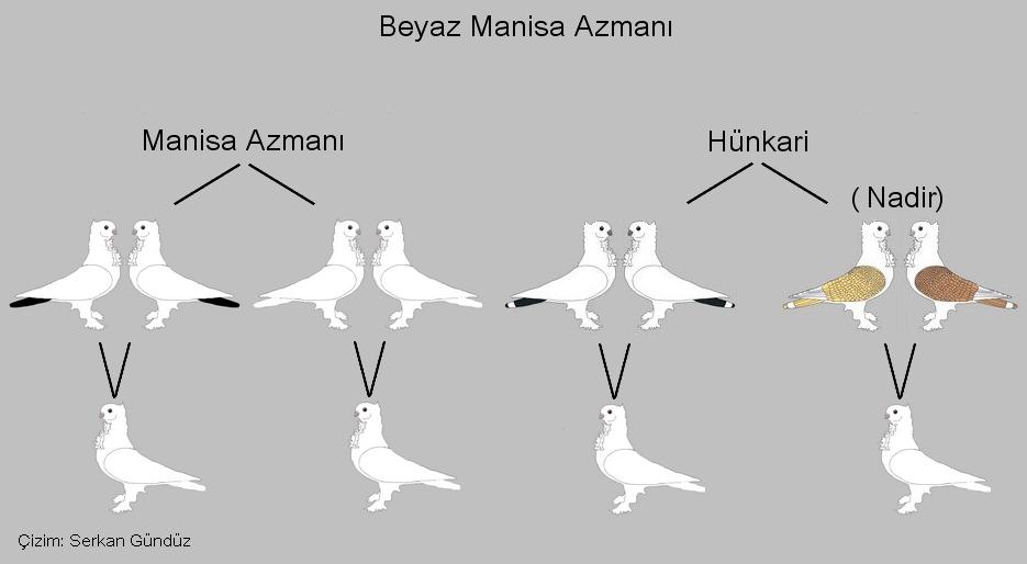 424965873_7289450021122622_7932124183185295637_n