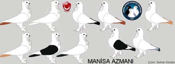 427741553_122130432512114406_1290972444844848035_n