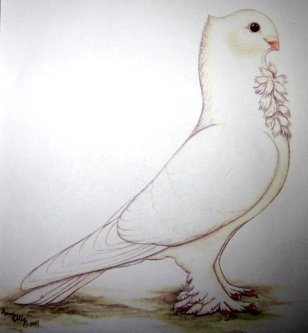 The Show Standard for a Seraph. Substantial changes in not just color, but form.