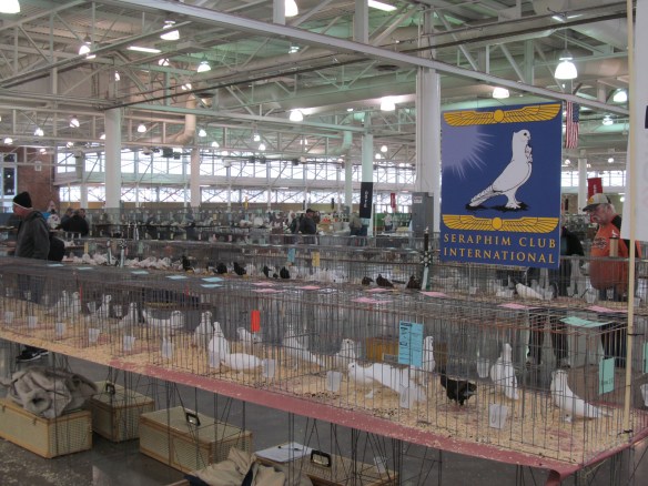 The Seraphim section at the ISPA show, December 8th, 2012.